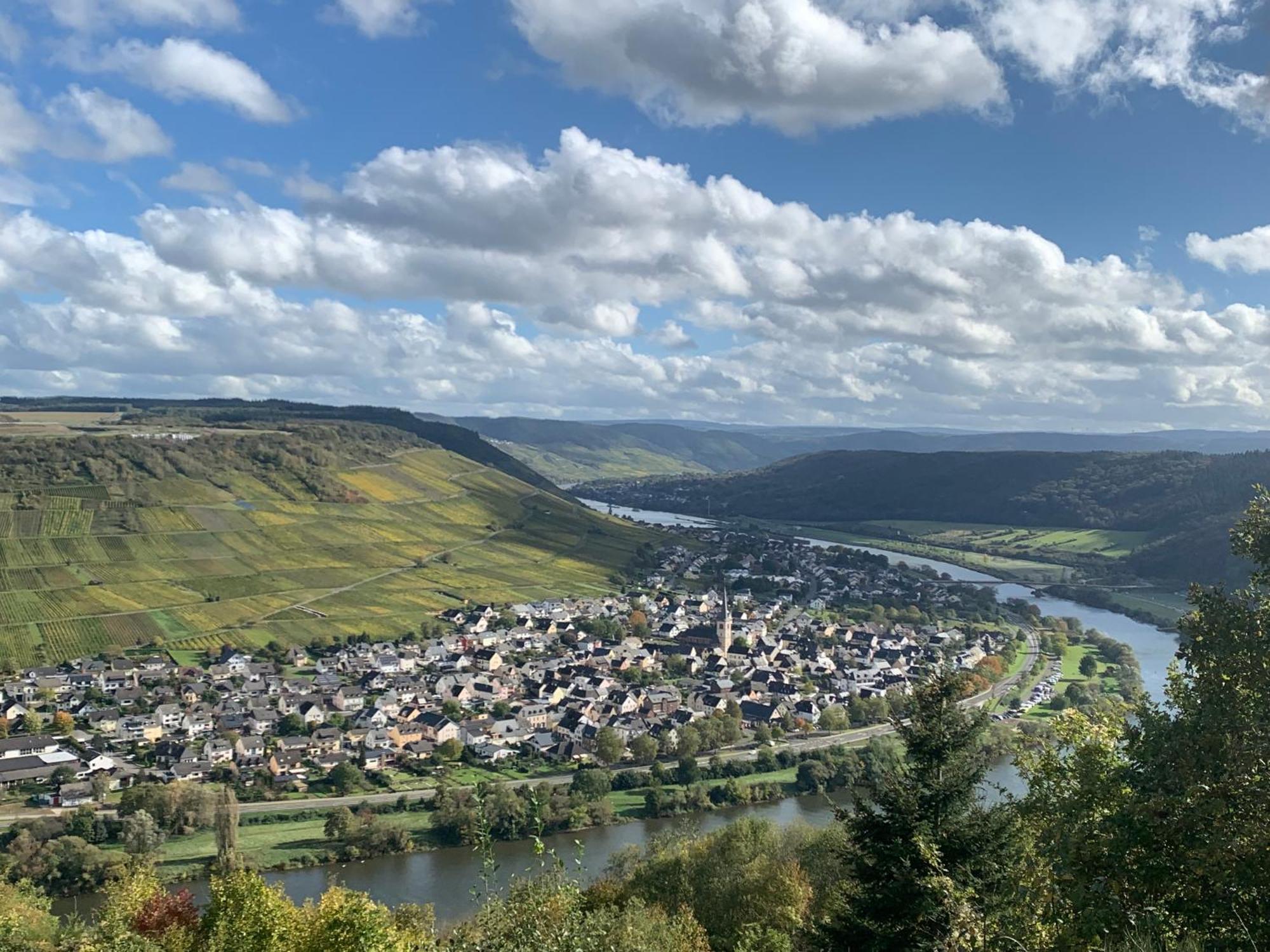 Отель Weinhof Michael Morbach Цельтинген-Рахтиг Экстерьер фото